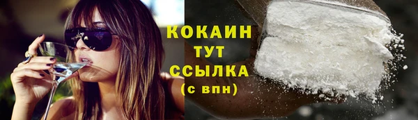дживик Белоозёрский