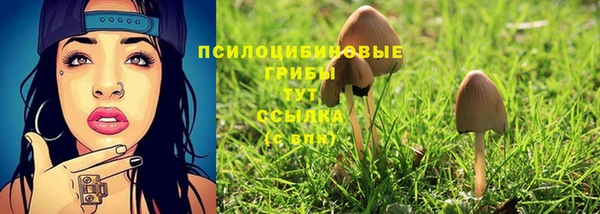 амф Белокуриха