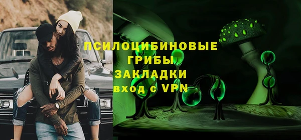 ешки Дмитровск