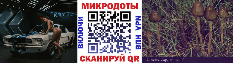 Псилоцибиновые грибы прущие грибы  Высоковск 